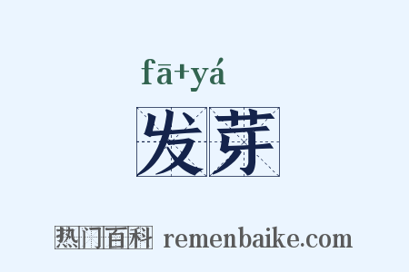 发芽是什么意思的图片